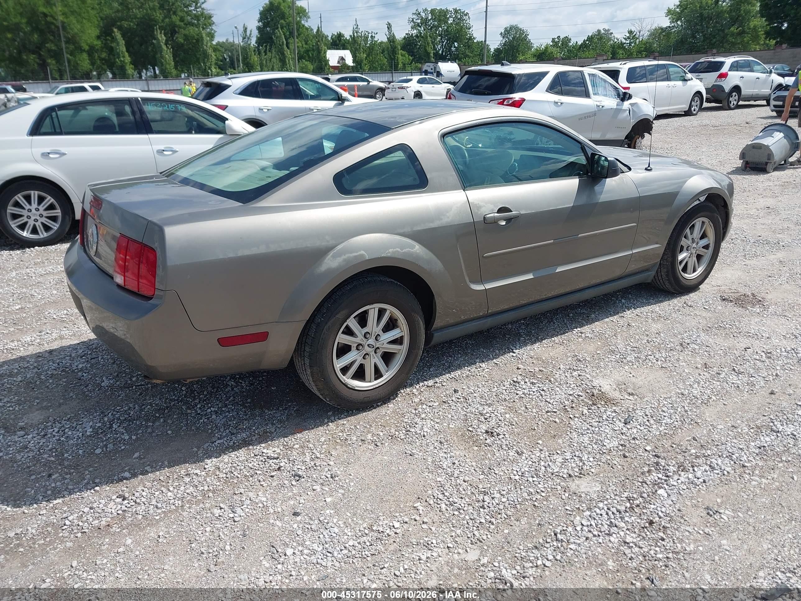 2005 Ford Mustang V6 Deluxe/v6 Premium Gray vin: 1ZVFT80N355201670
