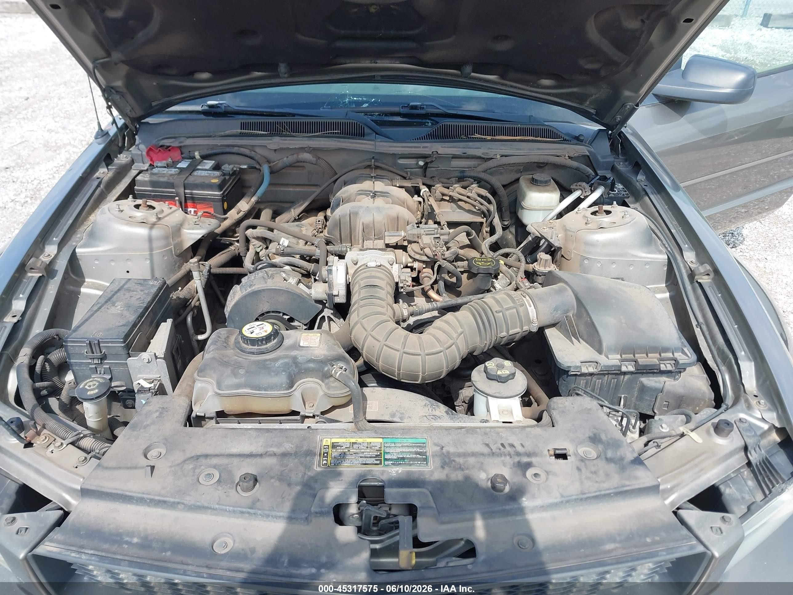 2005 Ford Mustang V6 Deluxe/v6 Premium Gray vin: 1ZVFT80N355201670