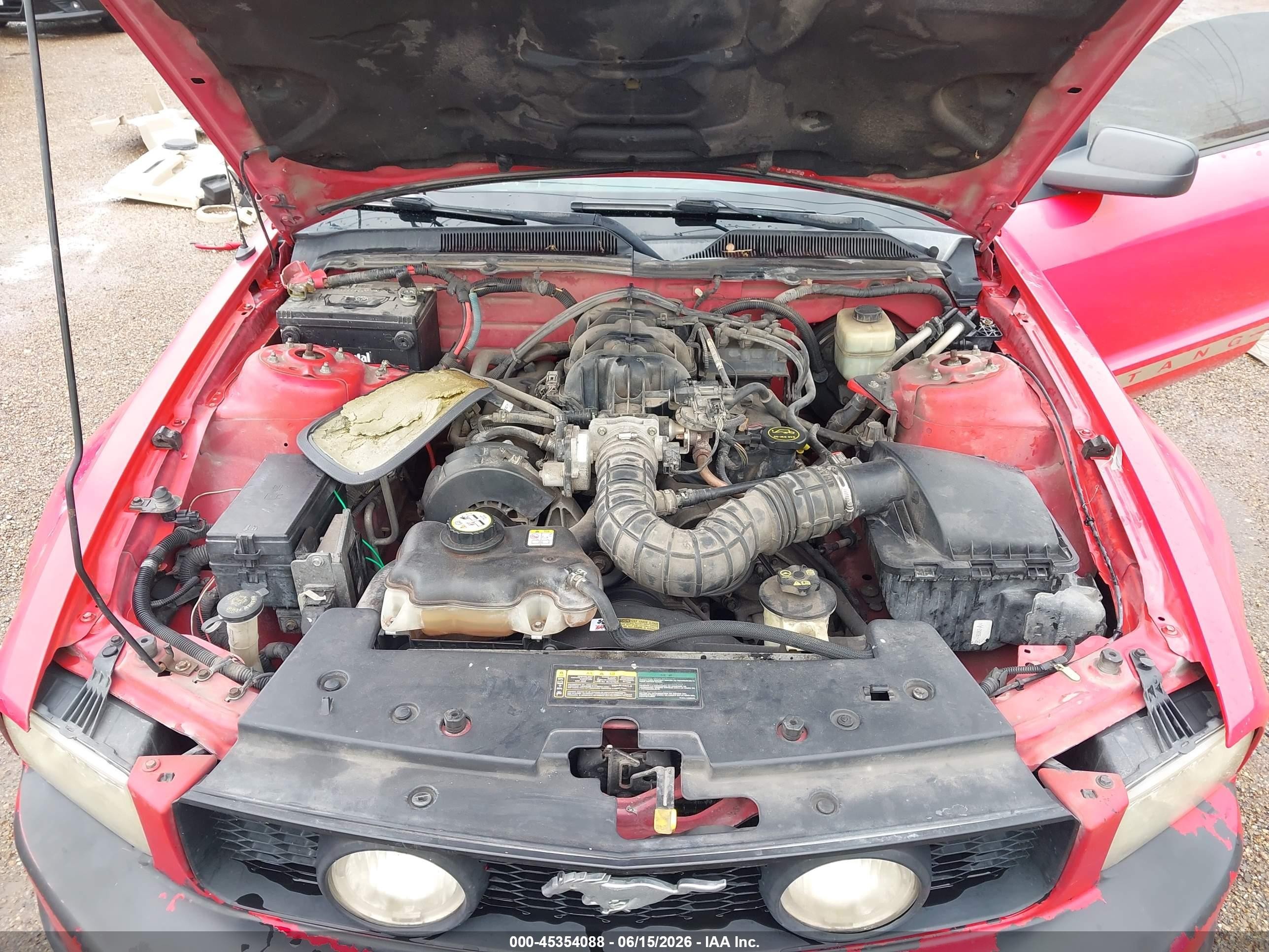 2005 Ford Mustang V6 Deluxe/v6 Premium Red vin: 1ZVFT80N355221434