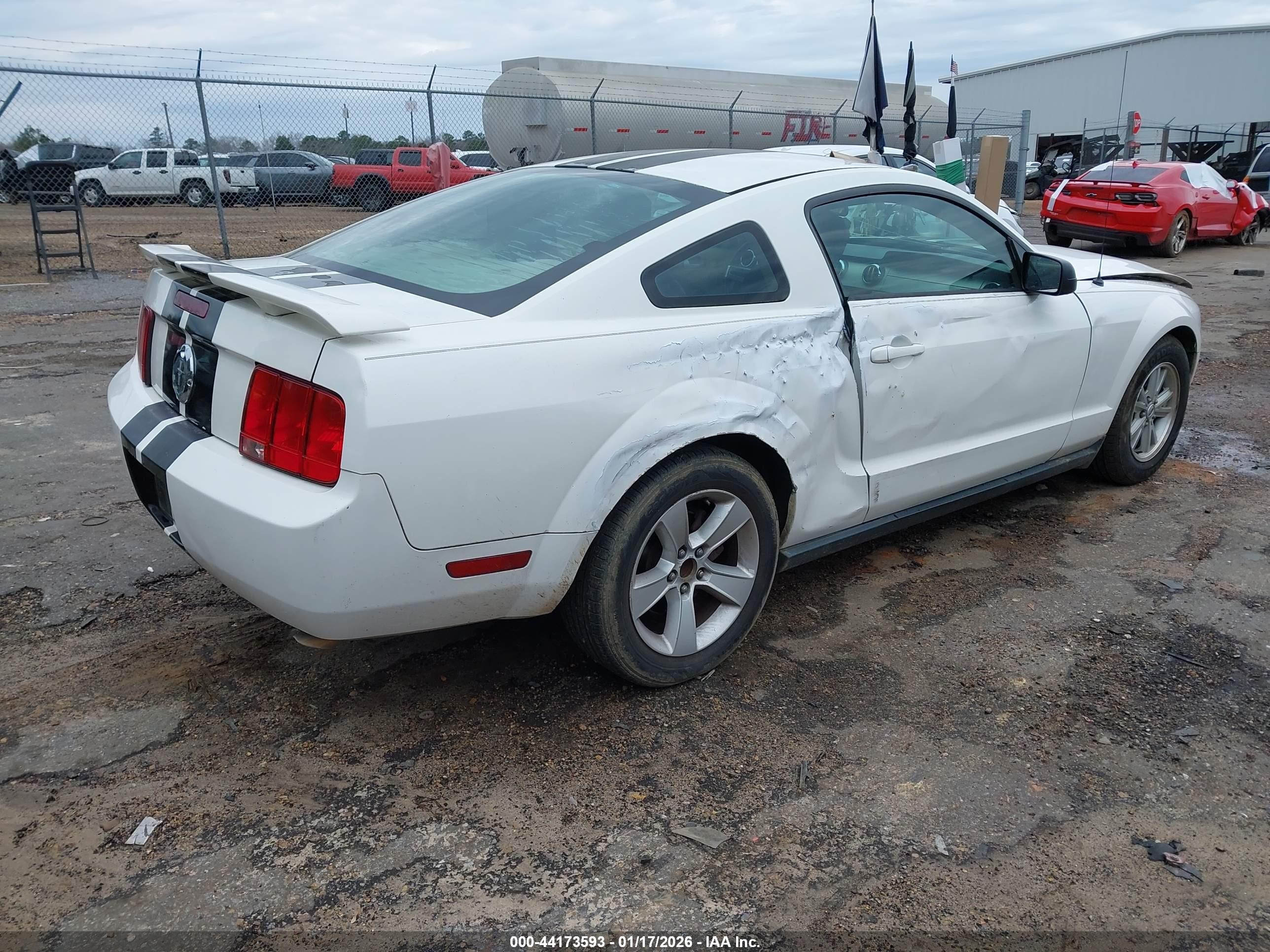 2006 Ford Mustang V6 White vin: 1ZVFT80N365108164