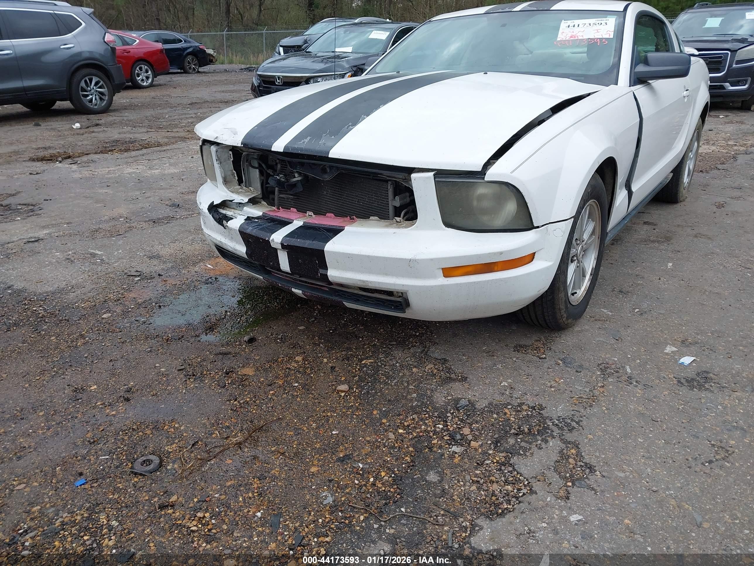 2006 Ford Mustang V6 White vin: 1ZVFT80N365108164