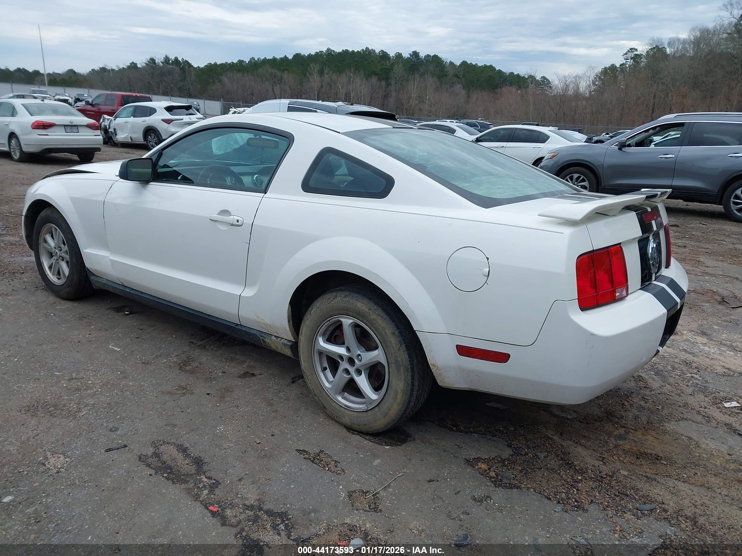 2006 Ford Mustang V6 White vin: 1ZVFT80N365108164