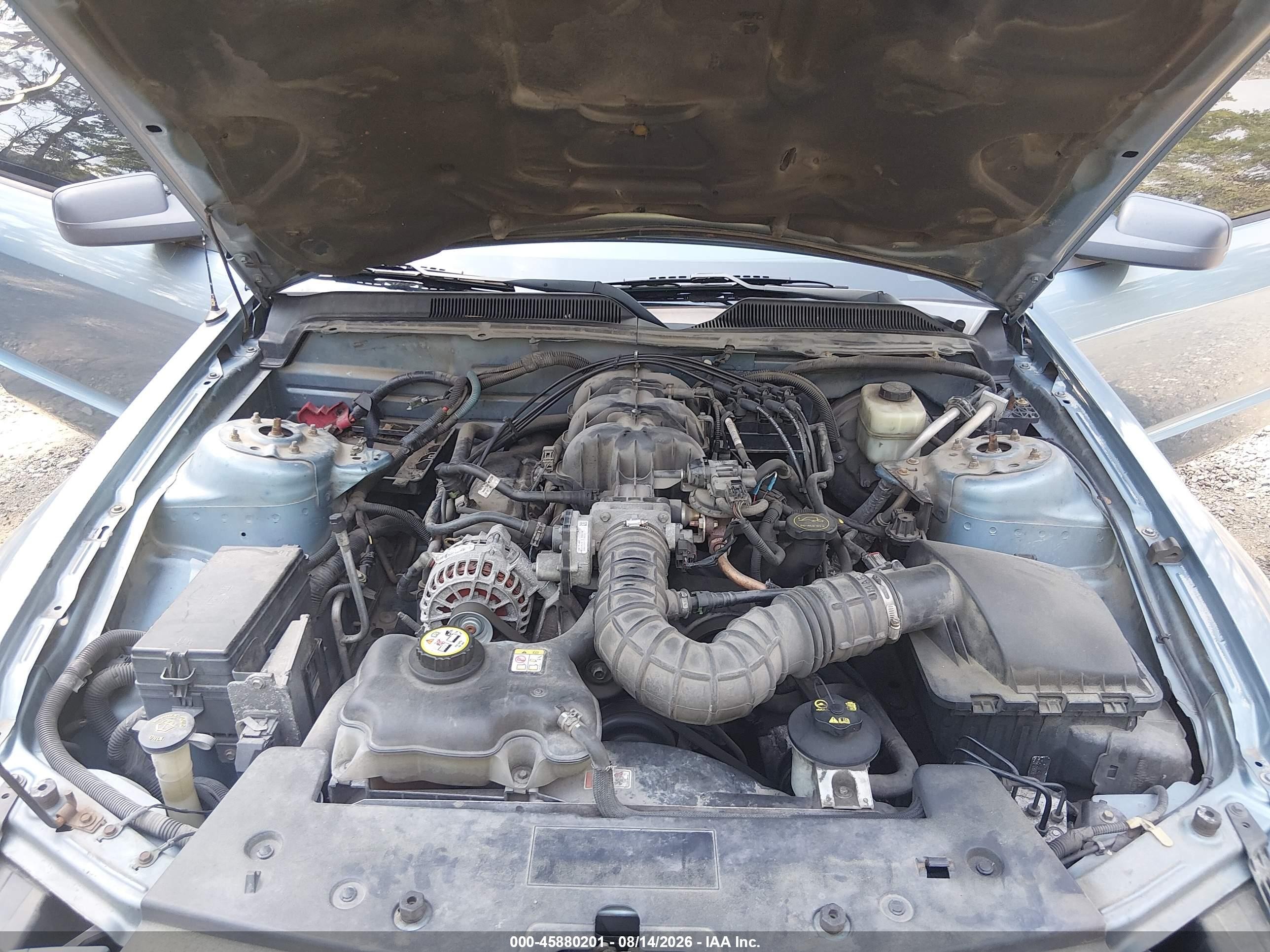2006 Ford Mustang V6 Blue vin: 1ZVFT80N365157994