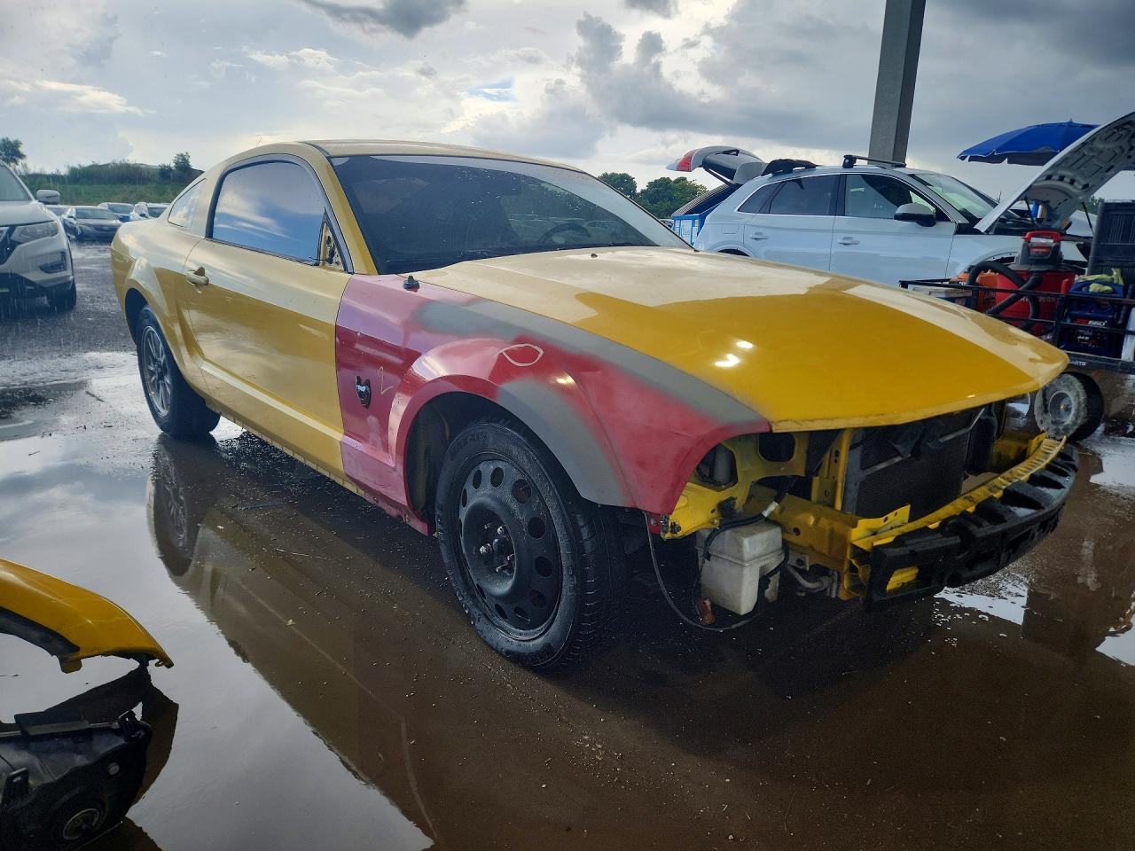 2006 Ford Mustang Yellow vin: 1ZVFT80N365207549
