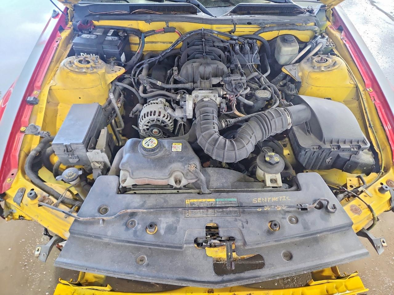 2006 Ford Mustang Yellow vin: 1ZVFT80N365207549