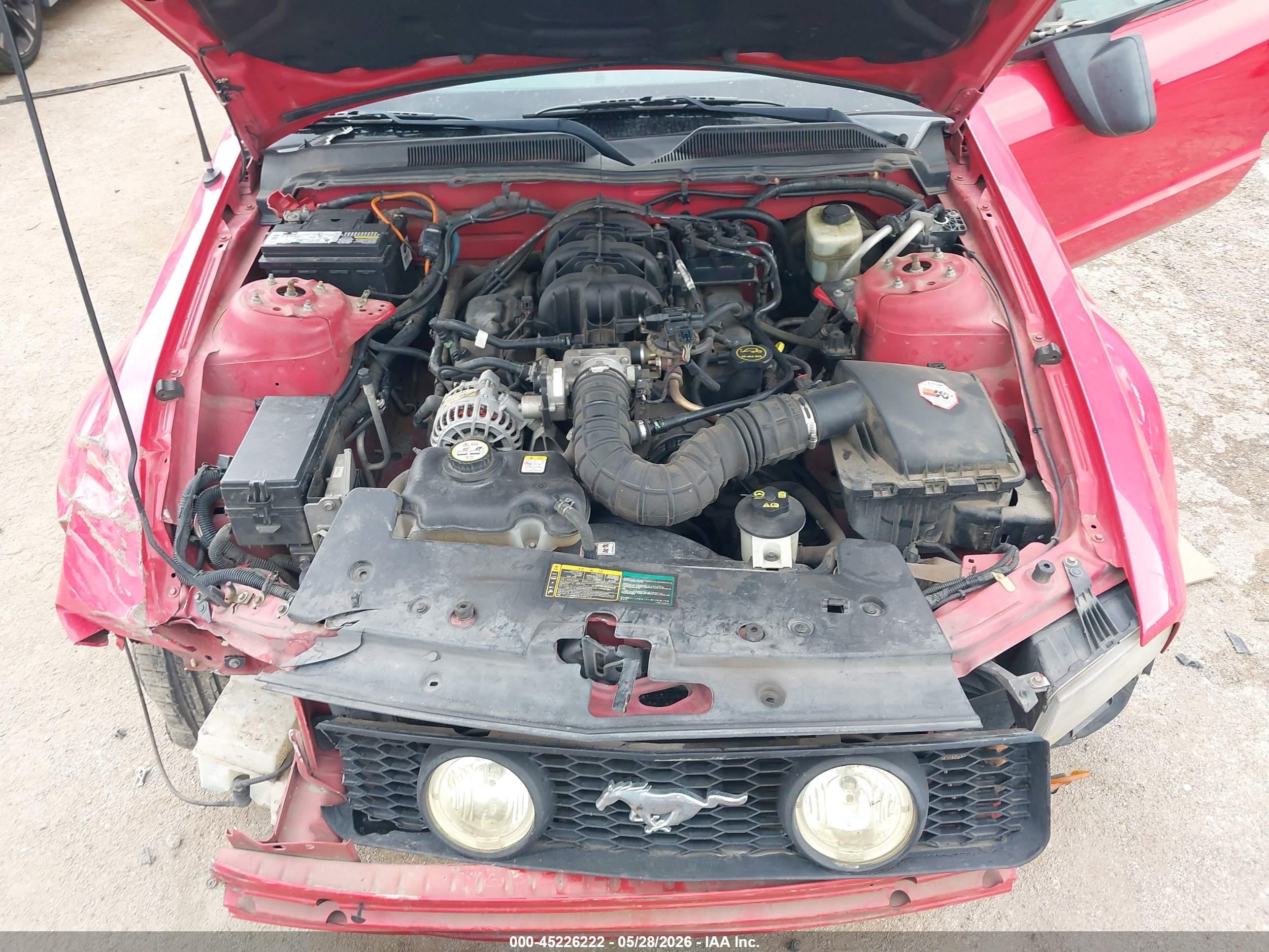2006 Ford Mustang V6 Red vin: 1ZVFT80N365257142