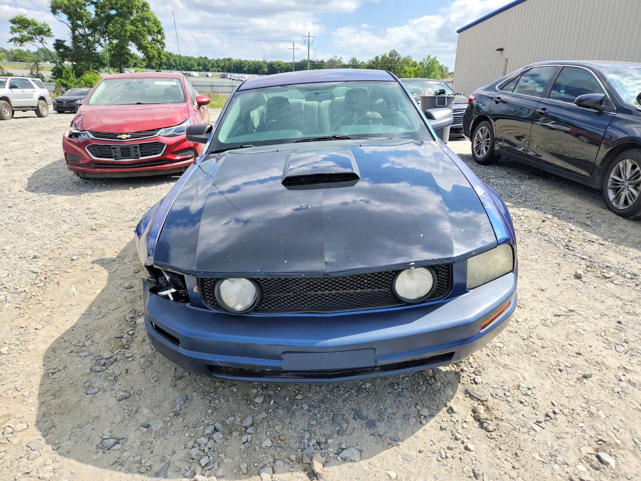 2007 Ford Mustang Blue vin: 1ZVFT80N375273942