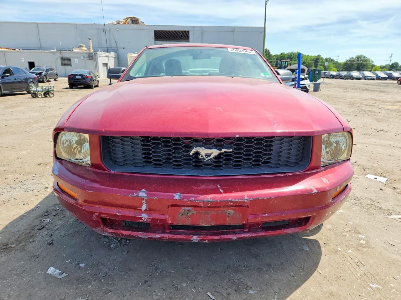 2007 Ford Mustang Red vin: 1ZVFT80N375291213