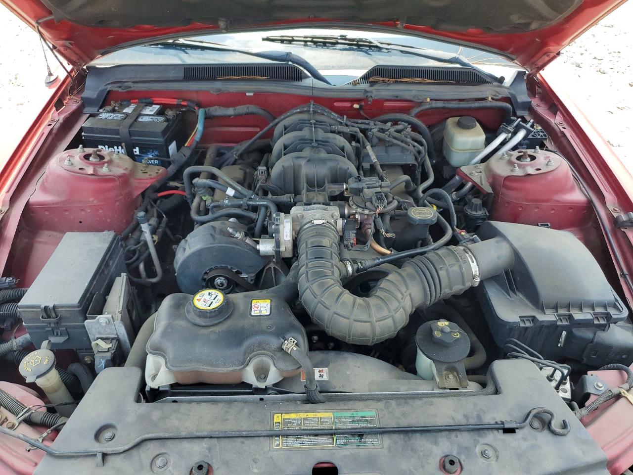 2005 Ford Mustang Red vin: 1ZVFT80N455147313