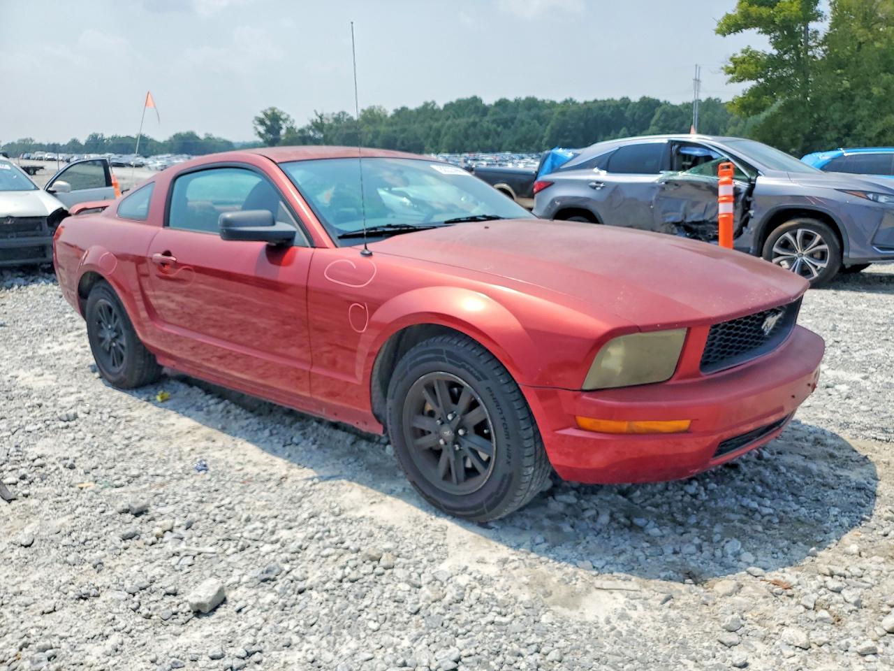 2005 Ford Mustang Red vin: 1ZVFT80N455147313