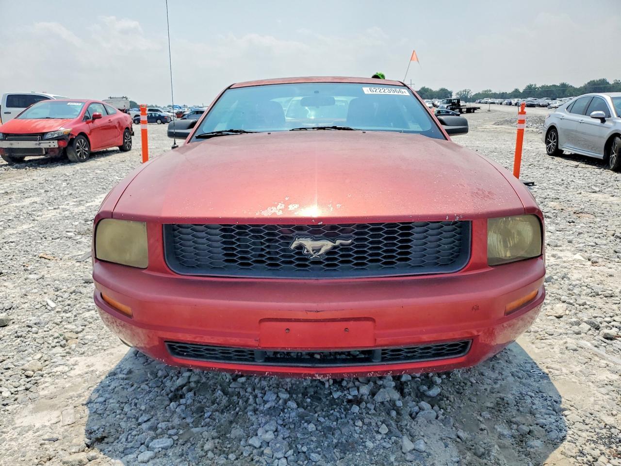 2005 Ford Mustang Red vin: 1ZVFT80N455147313