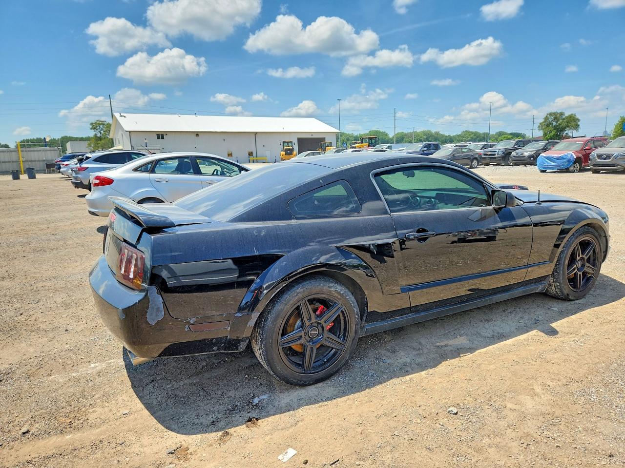 2005 Ford Mustang Black vin: 1ZVFT80N455149787