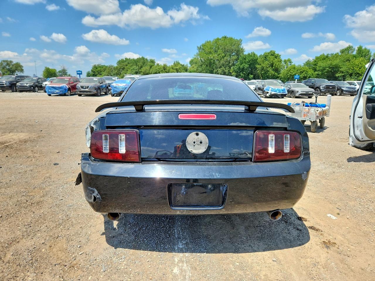 2005 Ford Mustang Black vin: 1ZVFT80N455149787