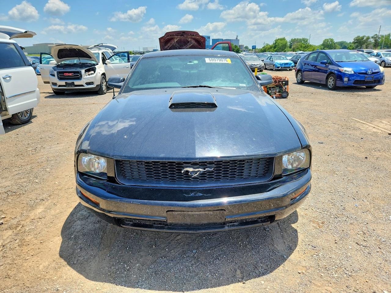 2005 Ford Mustang Black vin: 1ZVFT80N455149787