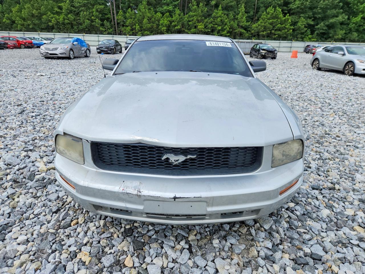 2005 Ford Mustang Silver vin: 1ZVFT80N455177752