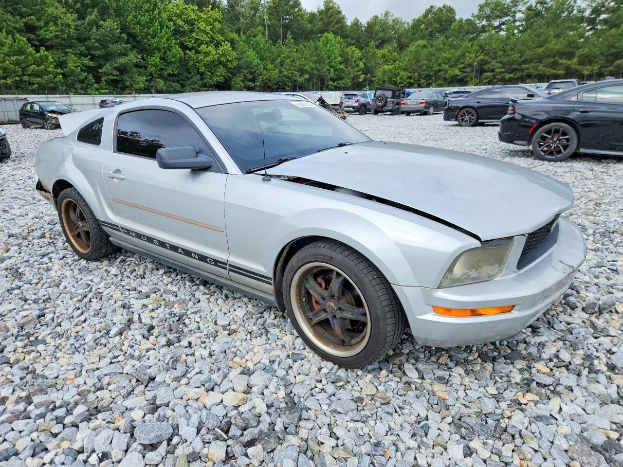 2005 Ford Mustang Silver vin: 1ZVFT80N455177752