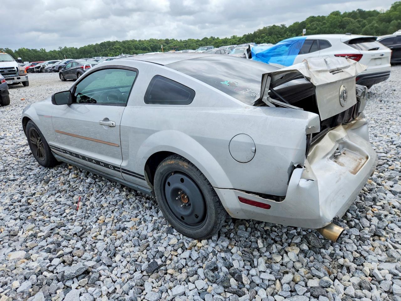 2005 Ford Mustang Silver vin: 1ZVFT80N455177752