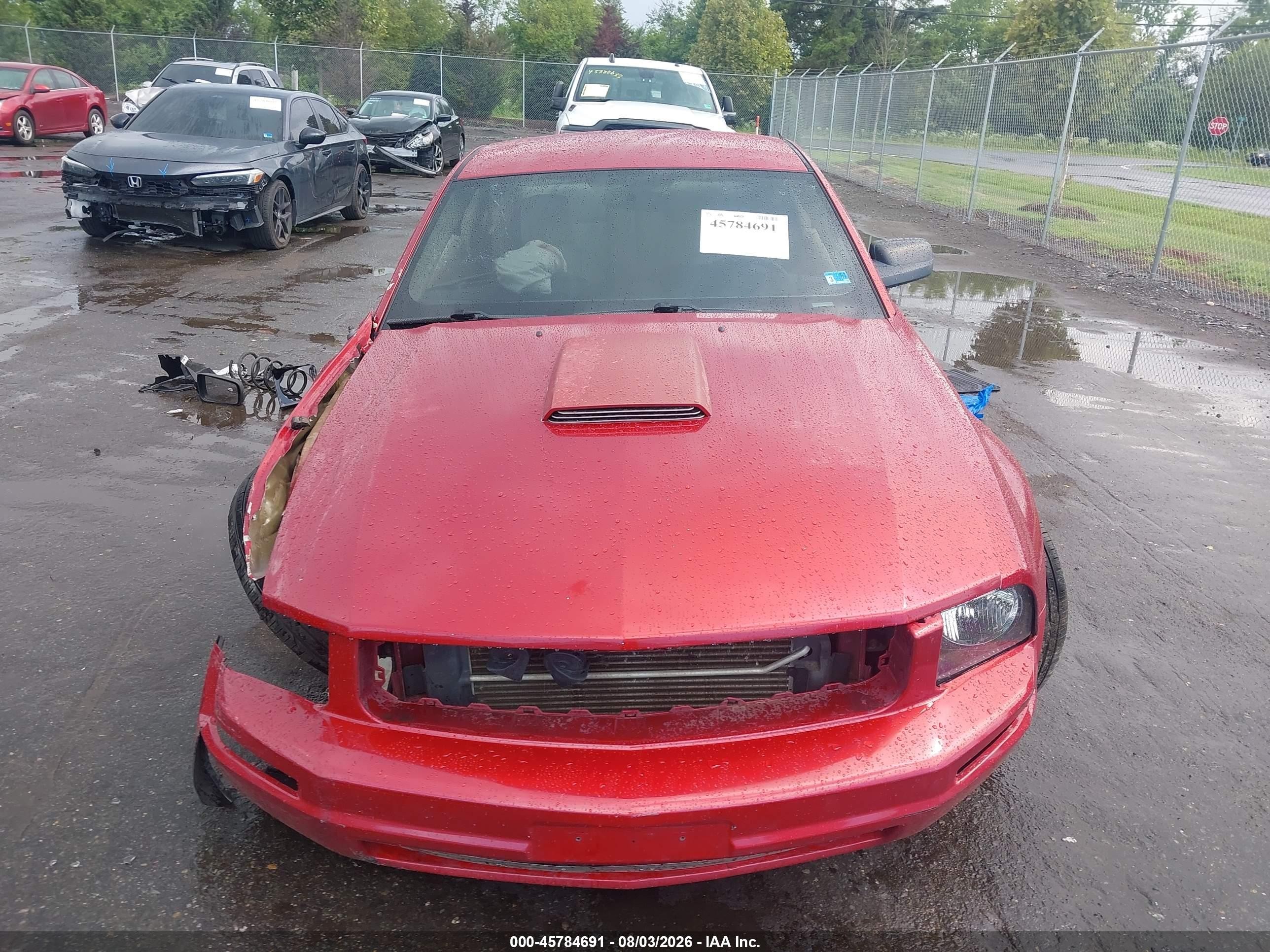 2006 Ford Mustang V6 Red vin: 1ZVFT80N465123675