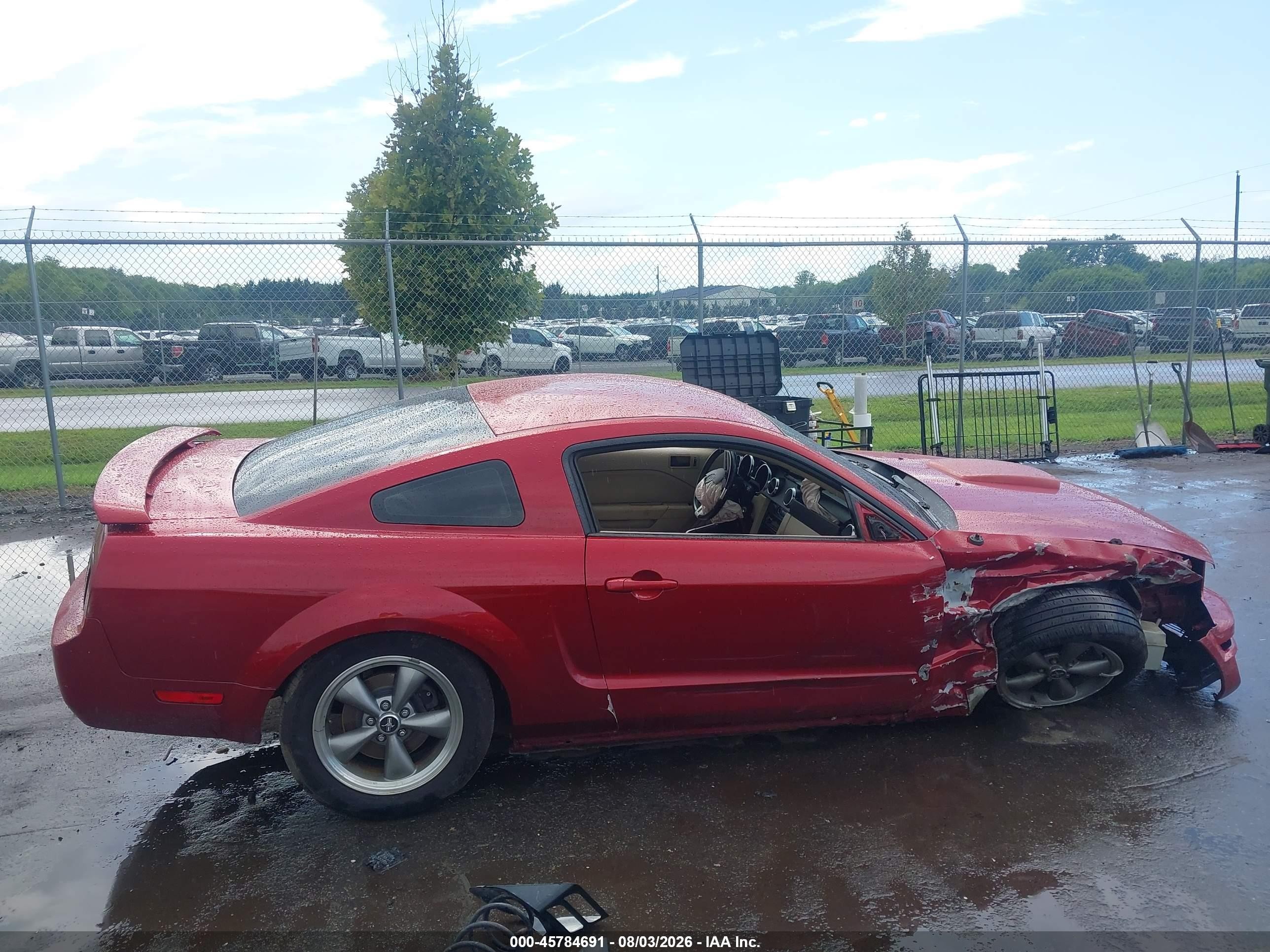 2006 Ford Mustang V6 Red vin: 1ZVFT80N465123675