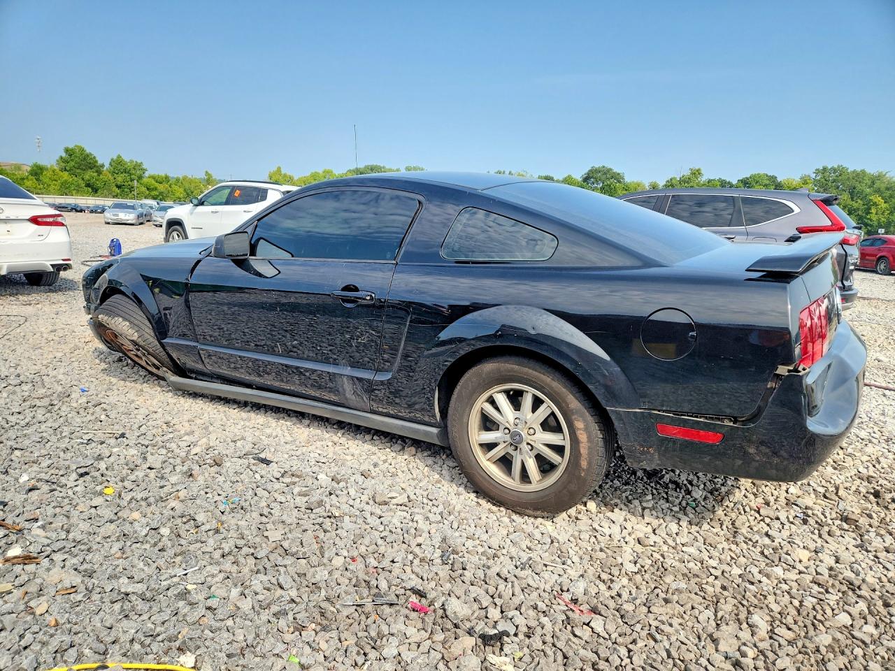 2006 Ford Mustang Black vin: 1ZVFT80N465140296