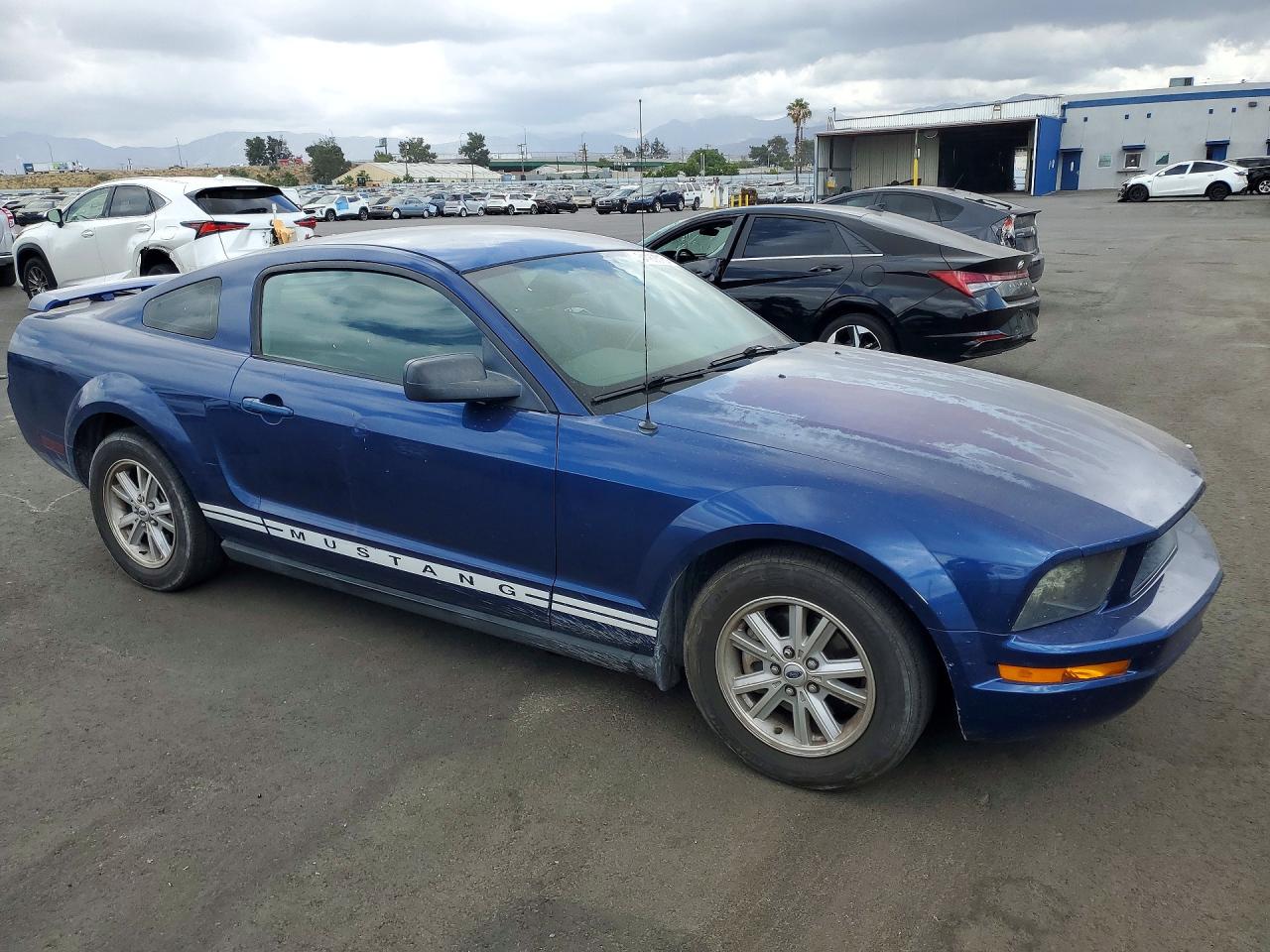 2006 Ford Mustang Blue vin: 1ZVFT80N465176862