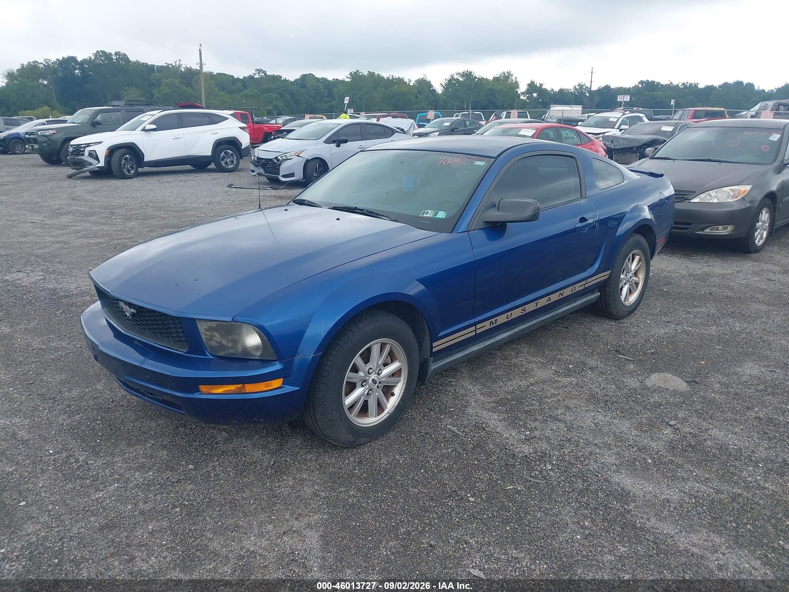2007 Ford Mustang V6 Deluxe/v6 Premium Blue vin: 1ZVFT80N475300369