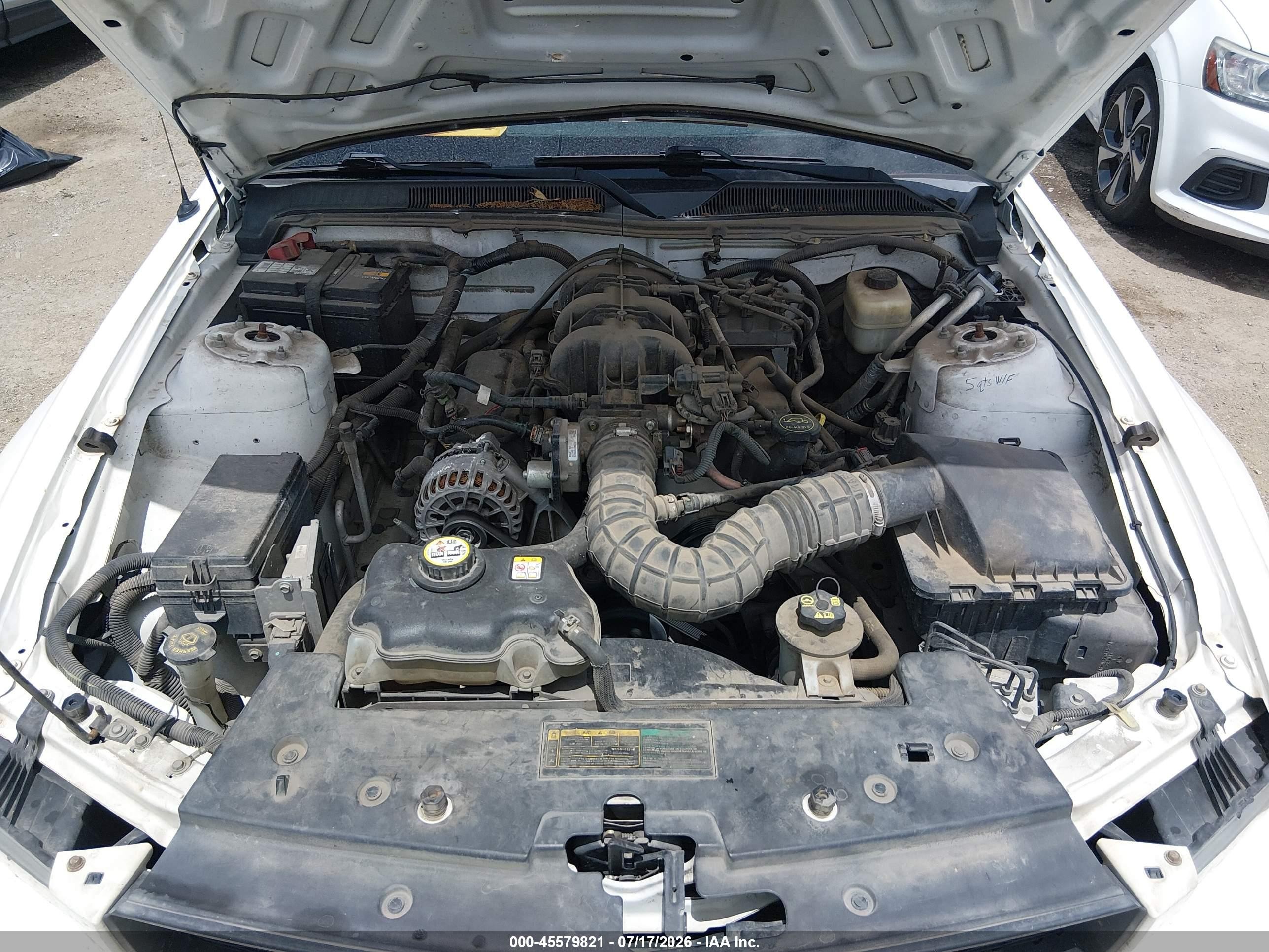 2007 Ford Mustang V6 Deluxe/v6 Premium Белый vin: 1ZVFT80N475351984