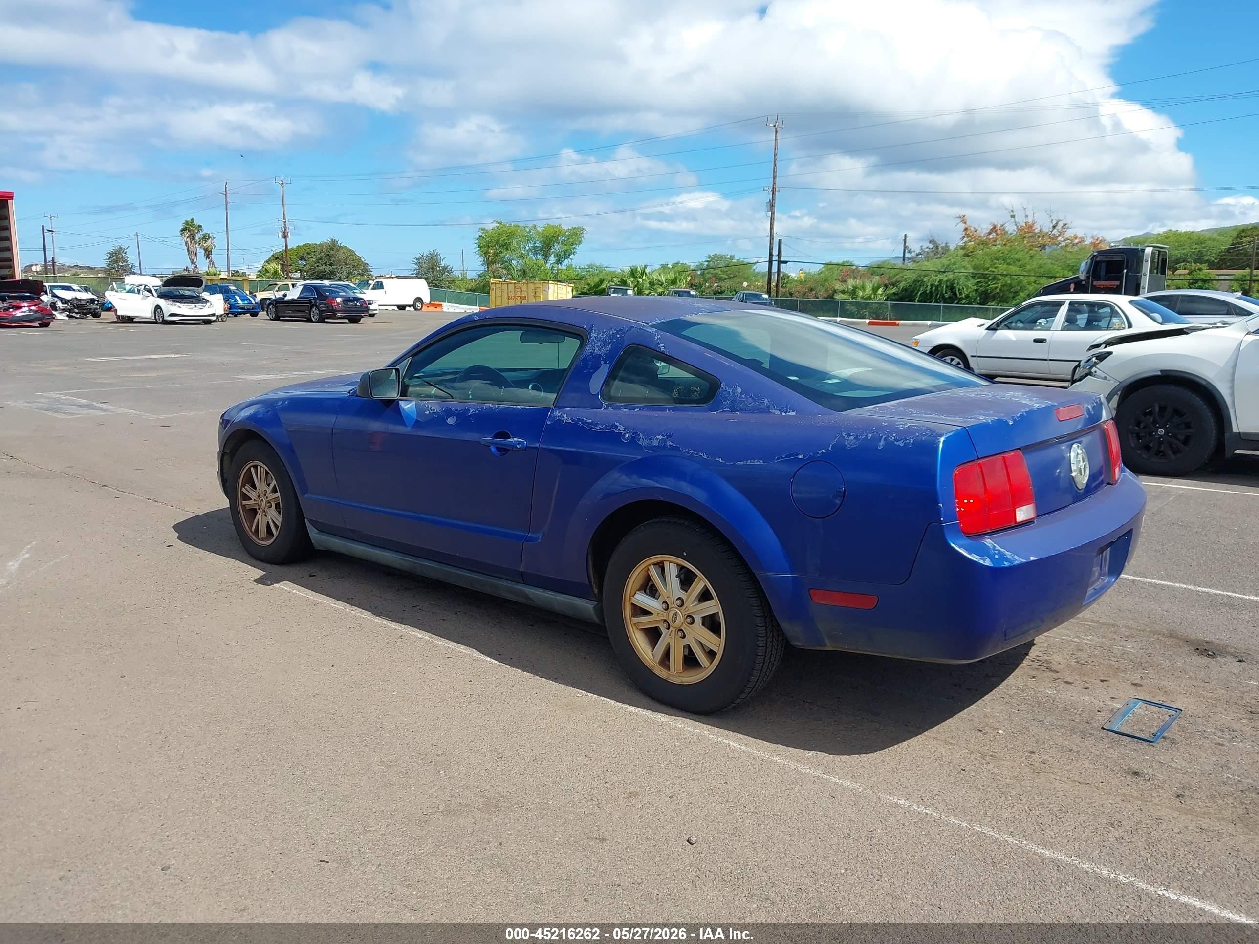 2005 Ford Mustang V6 Deluxe/v6 Premium Blue vin: 1ZVFT80N555163181