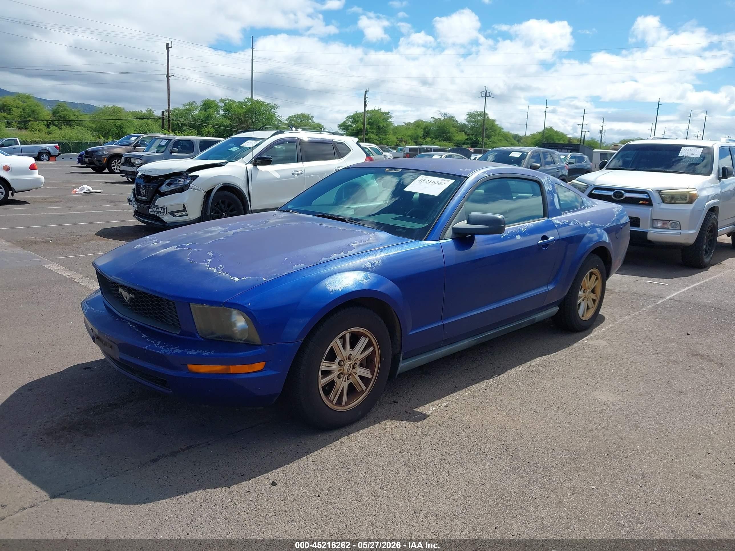 2005 Ford Mustang V6 Deluxe/v6 Premium Blue vin: 1ZVFT80N555163181