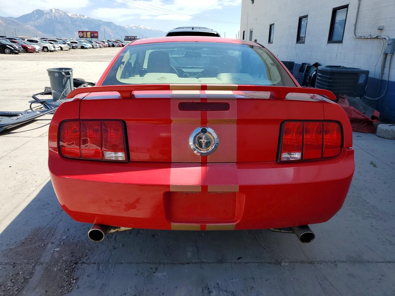 2005 Ford Mustang Red vin: 1ZVFT80N555210662