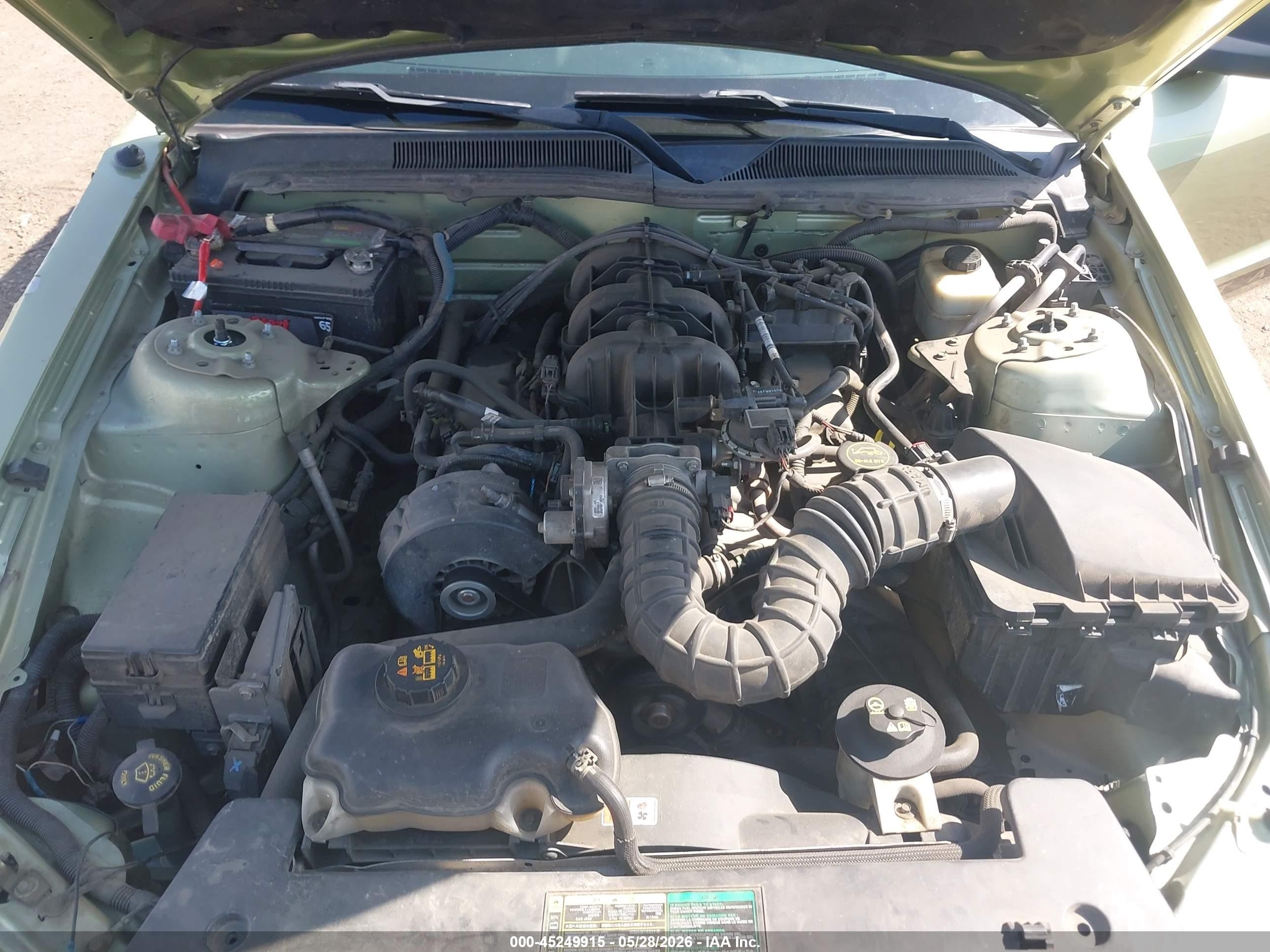 2005 Ford Mustang V6 Deluxe/v6 Premium Green vin: 1ZVFT80N555239207