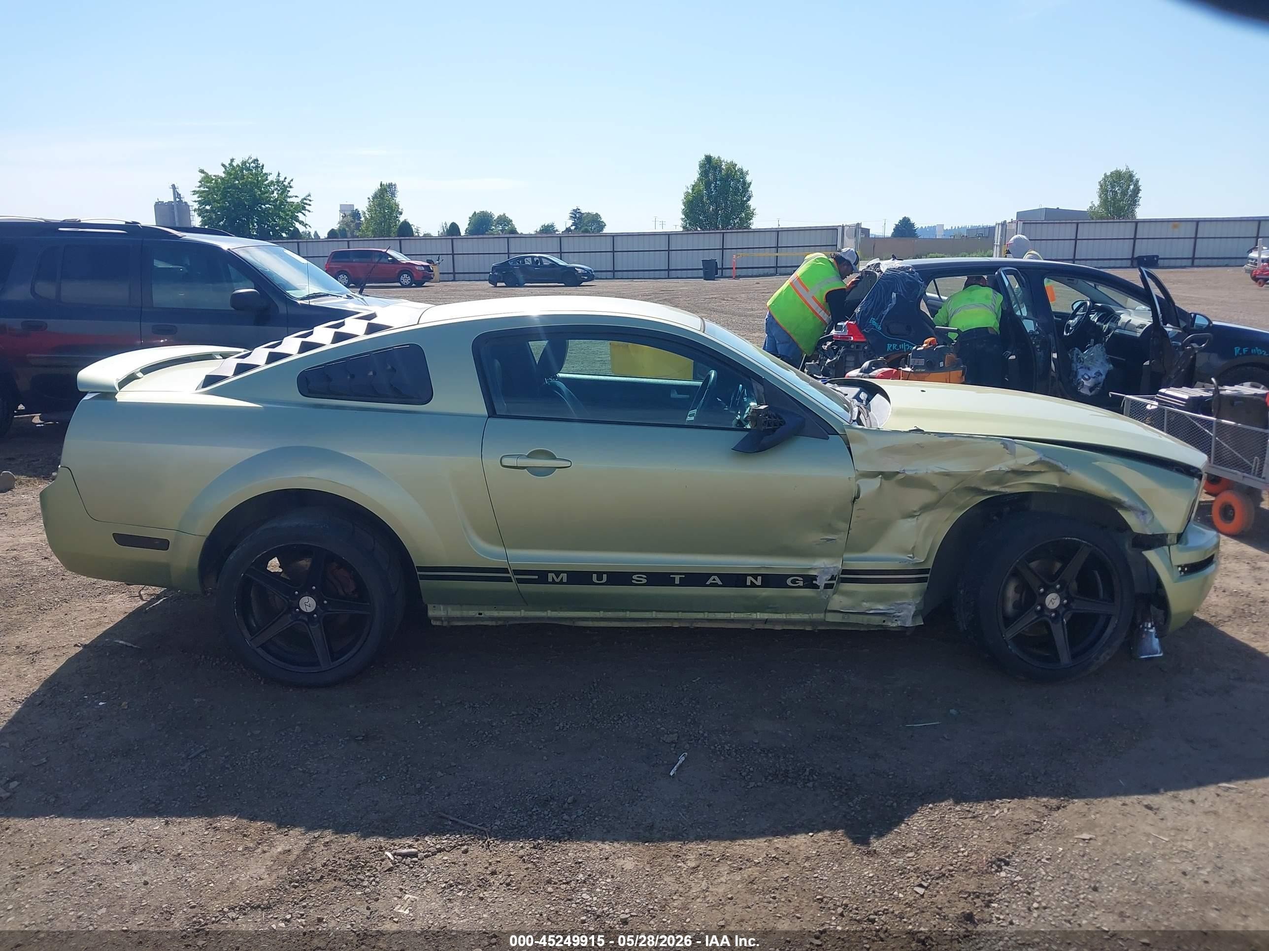 2005 Ford Mustang V6 Deluxe/v6 Premium Green vin: 1ZVFT80N555239207