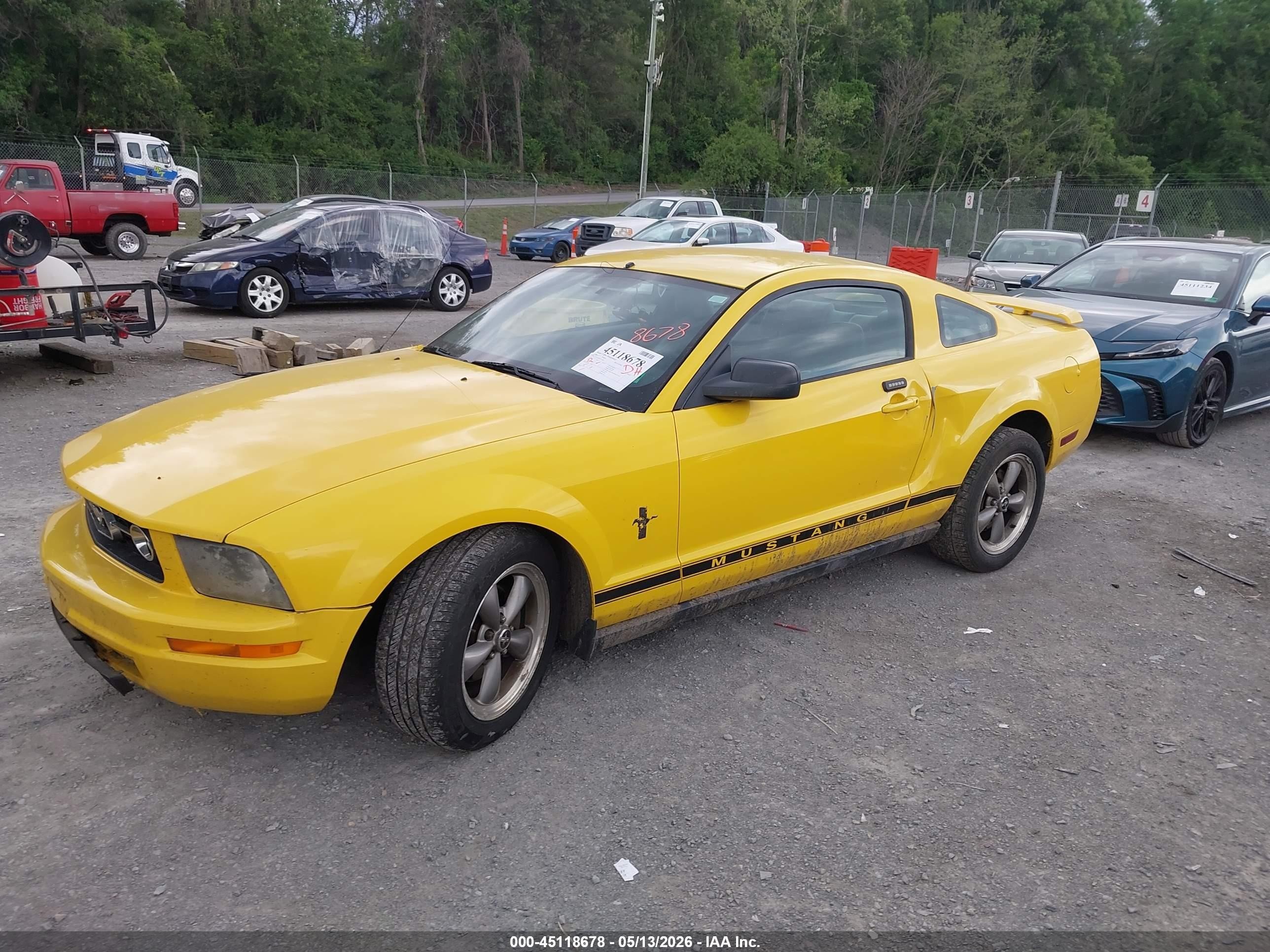 2006 Ford Mustang V6 Yellow vin: 1ZVFT80N565116802