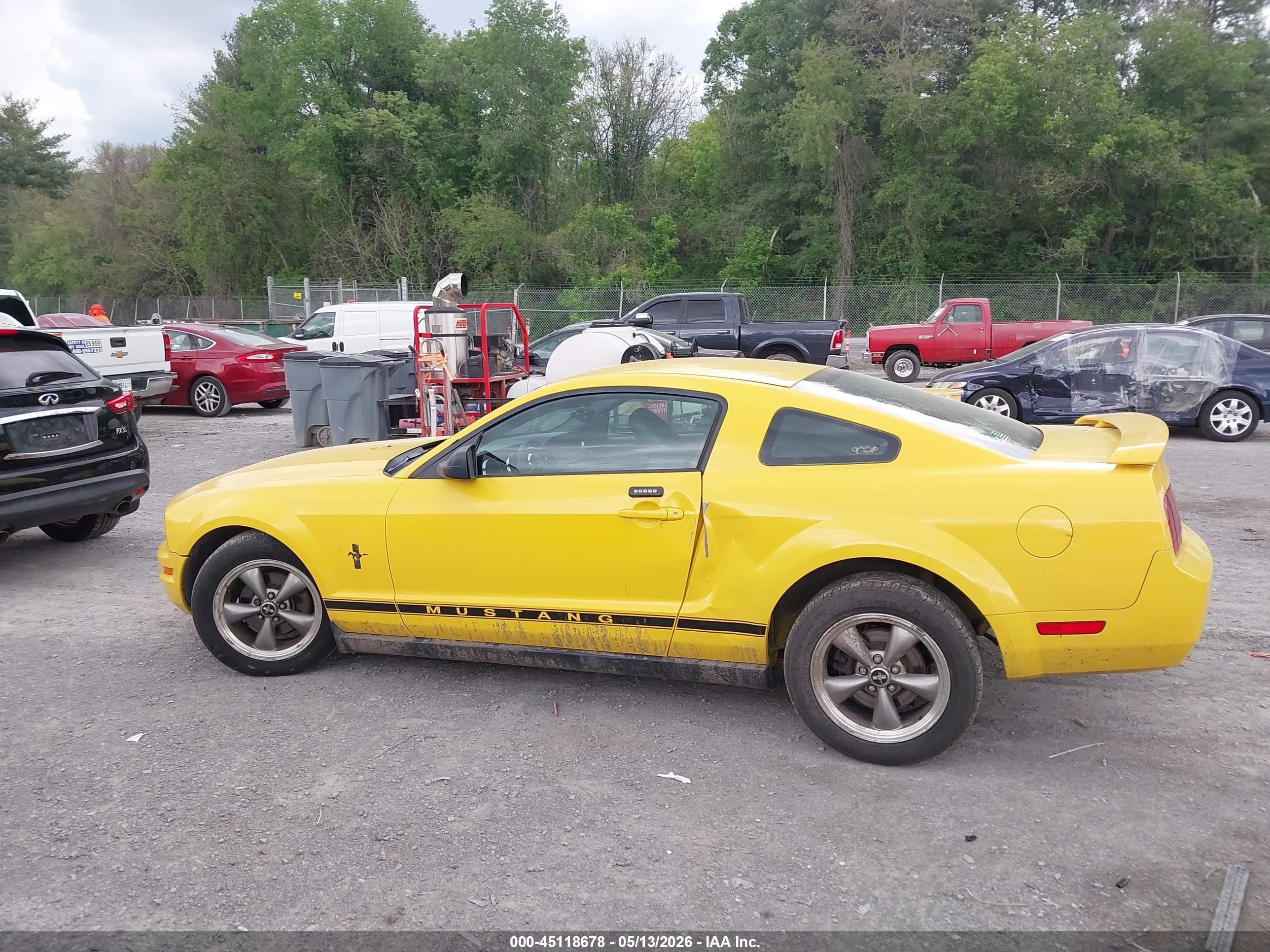 2006 Ford Mustang V6 Yellow vin: 1ZVFT80N565116802