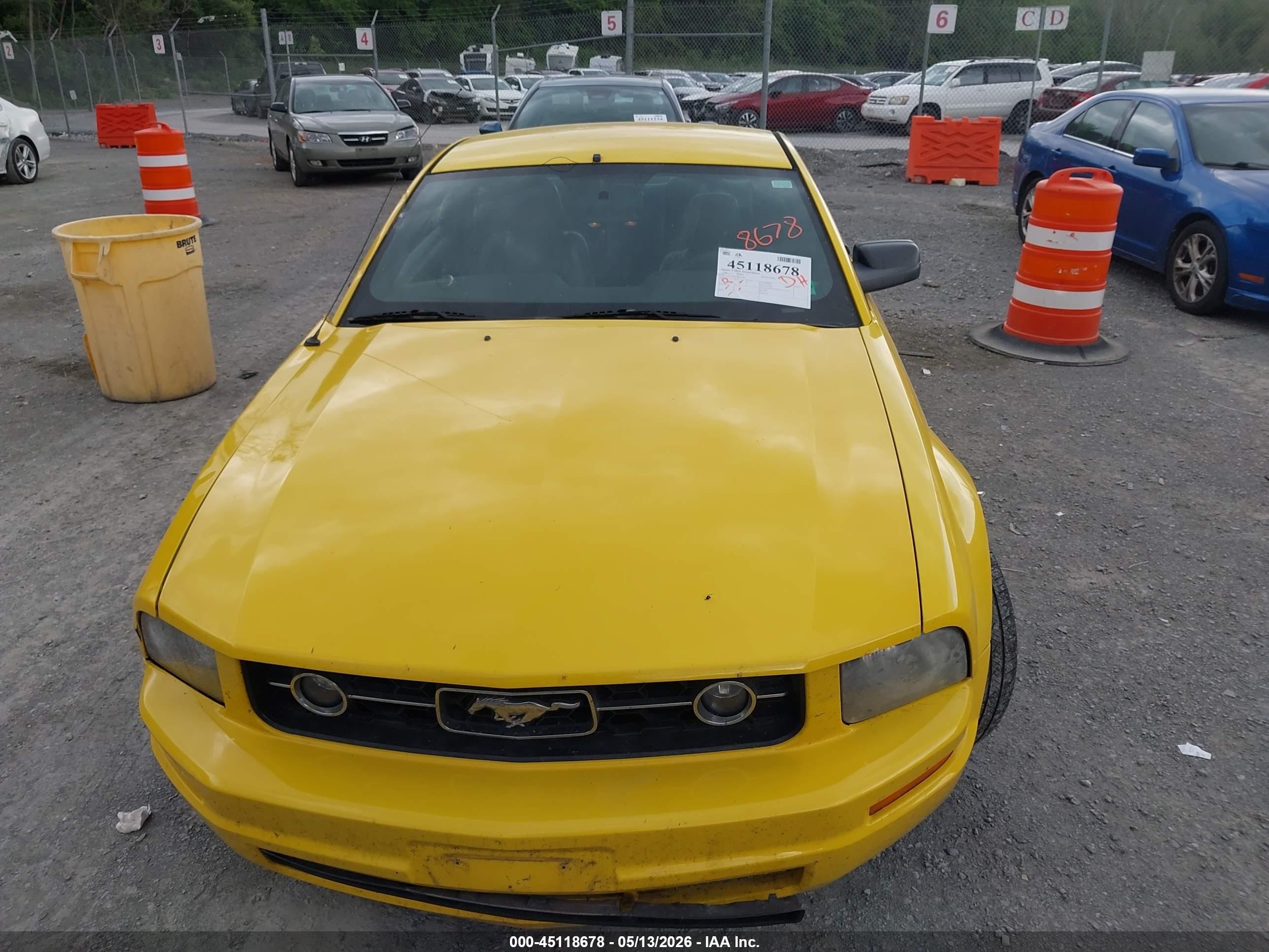 2006 Ford Mustang V6 Yellow vin: 1ZVFT80N565116802