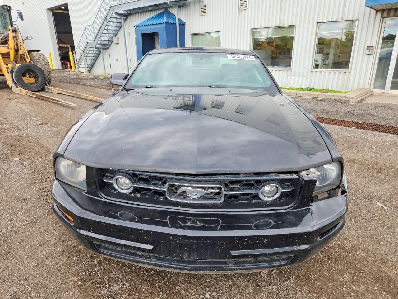 2006 Ford Mustang Black vin: 1ZVFT80N565146639