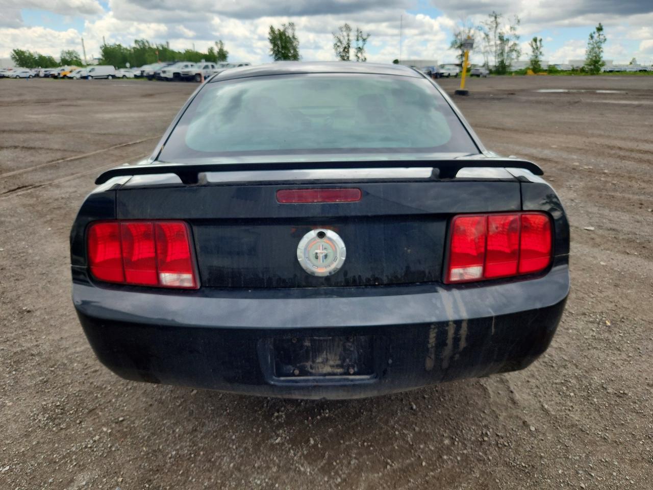 2006 Ford Mustang Black vin: 1ZVFT80N565146639