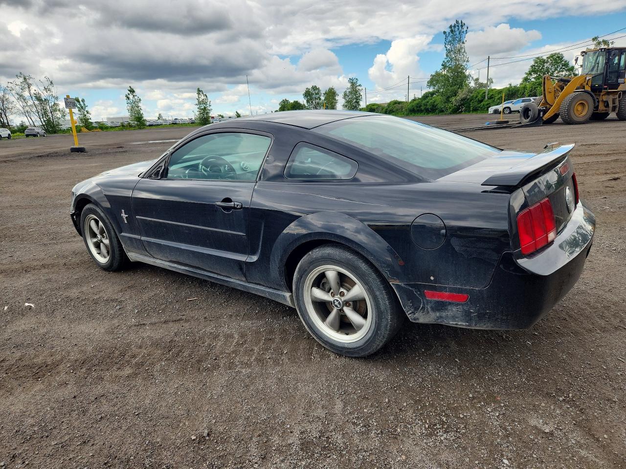 2006 Ford Mustang Black vin: 1ZVFT80N565146639