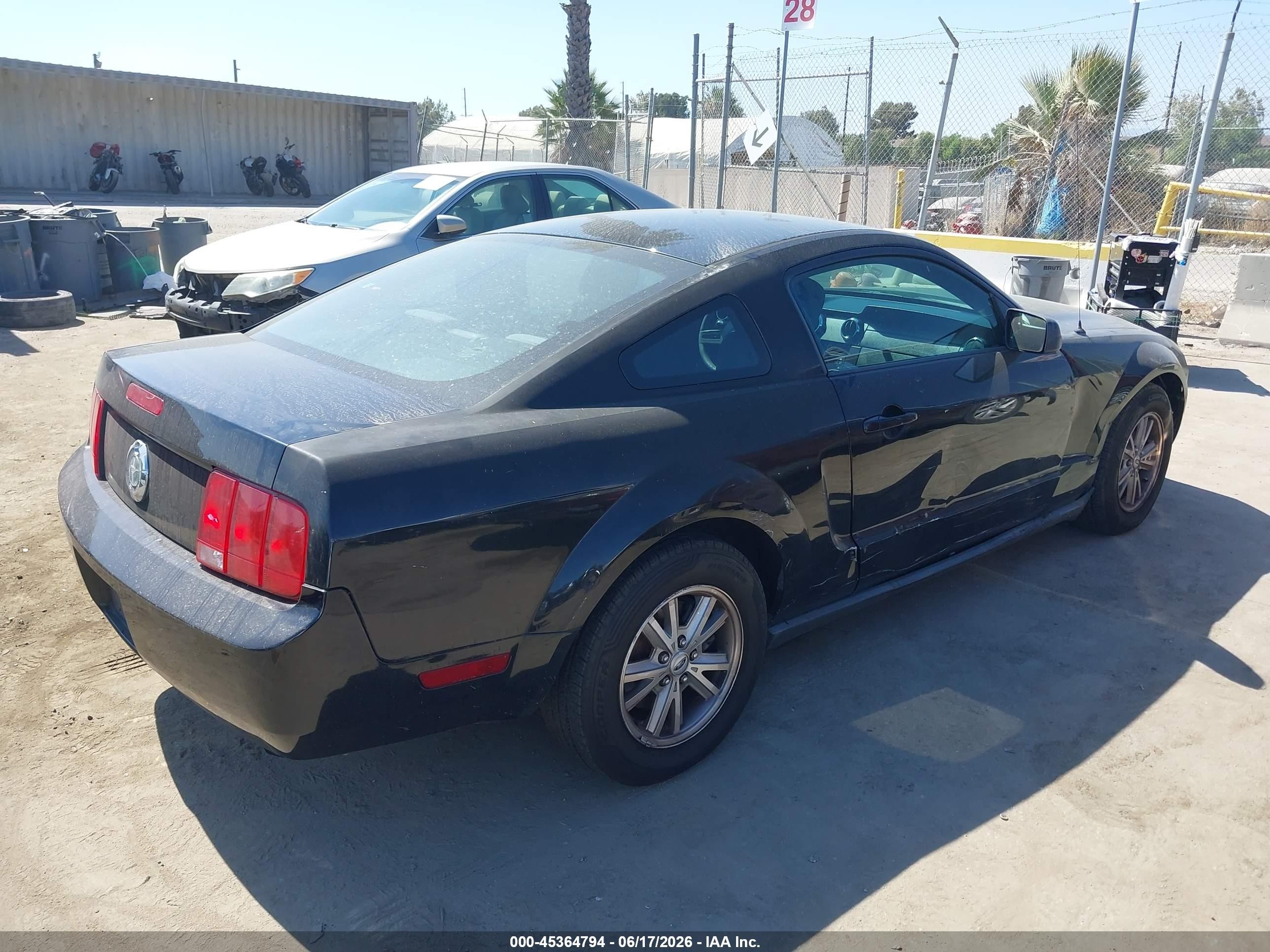 2006 Ford Mustang V6 Black vin: 1ZVFT80N565157754