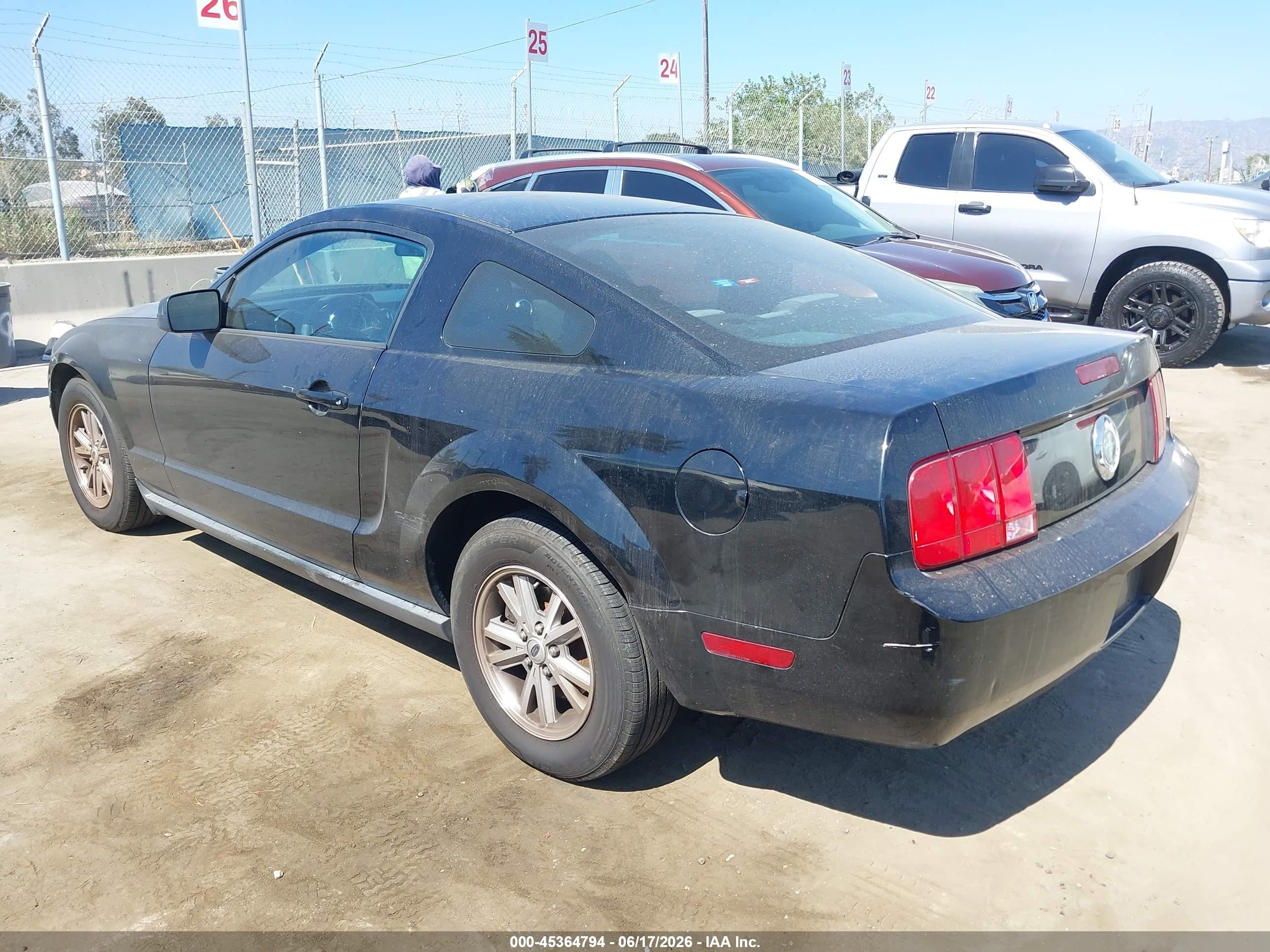 2006 Ford Mustang V6 Black vin: 1ZVFT80N565157754