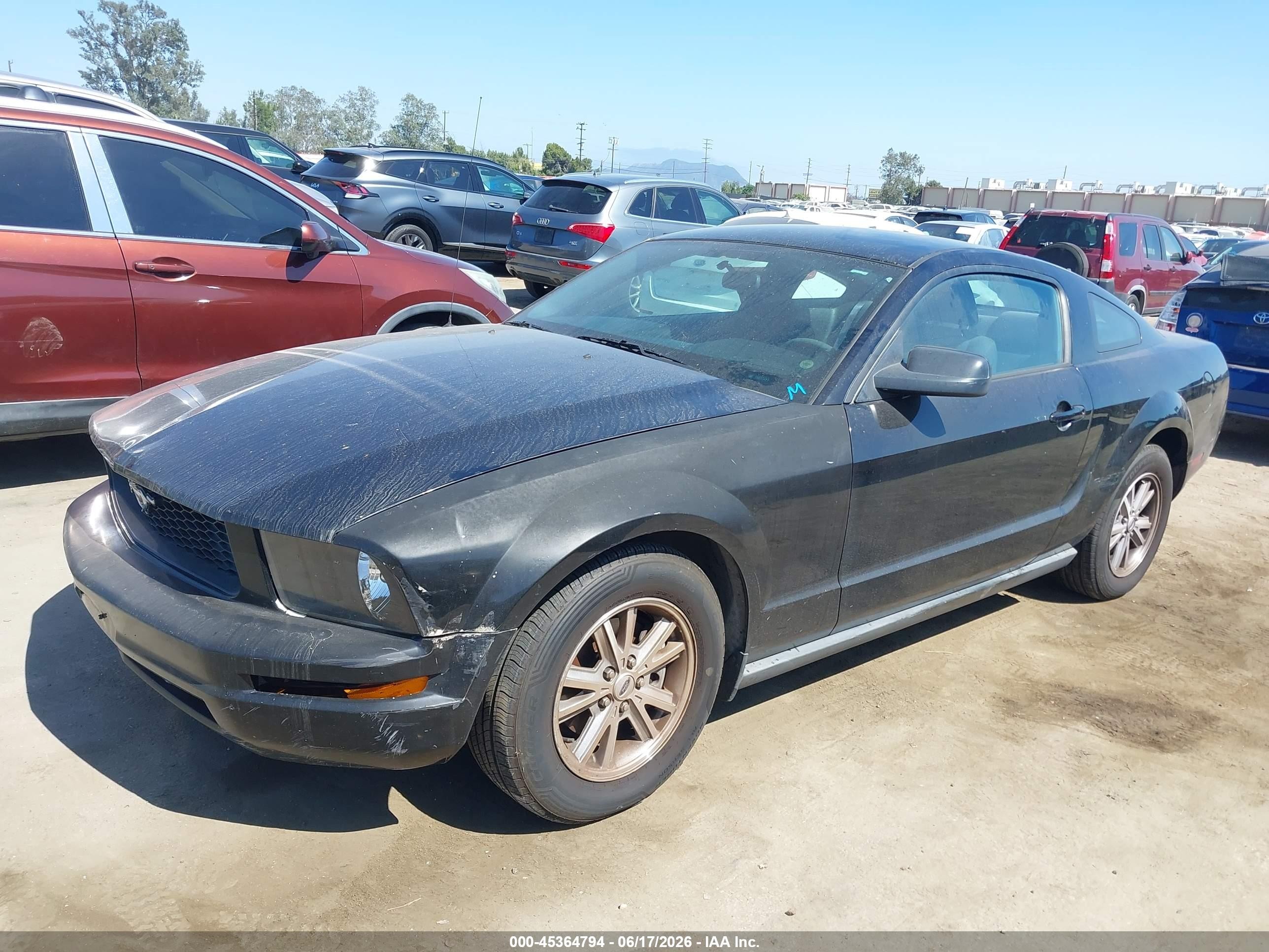2006 Ford Mustang V6 Black vin: 1ZVFT80N565157754