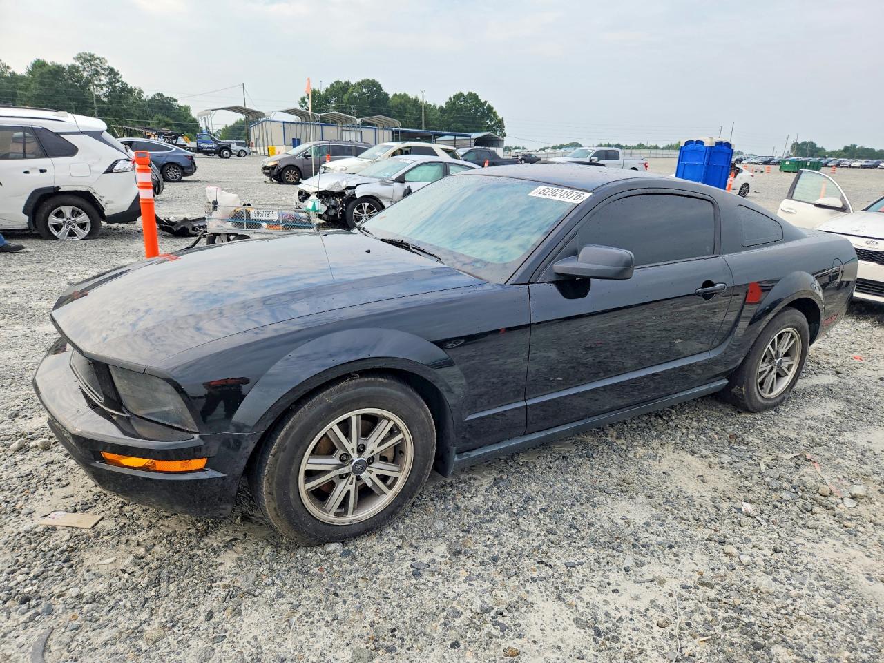 2006 Ford Mustang Black vin: 1ZVFT80N565159200