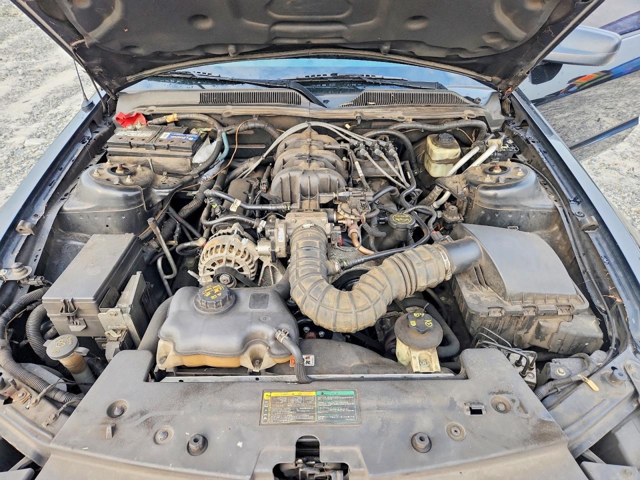 2006 Ford Mustang Черный vin: 1ZVFT80N565159200