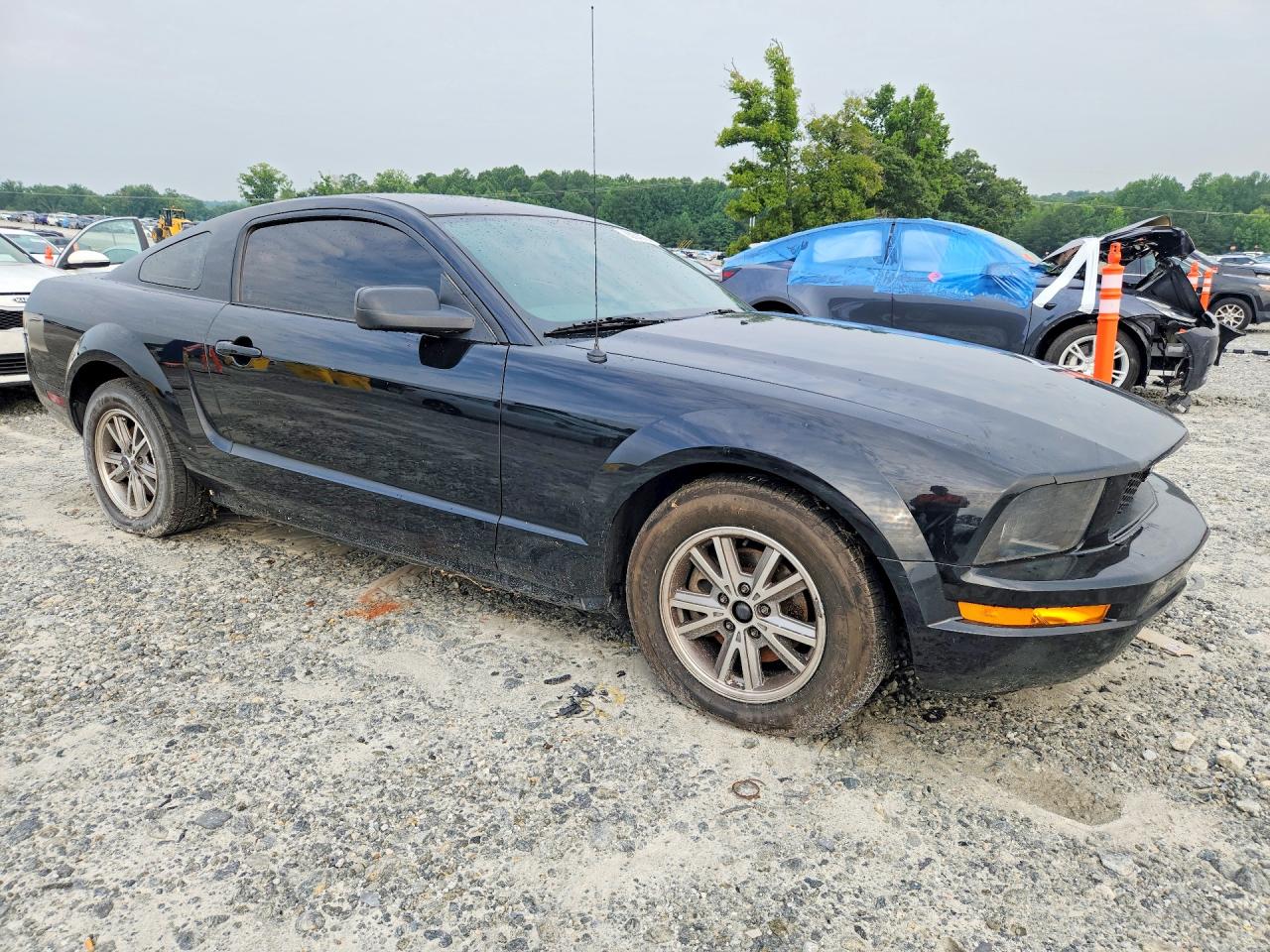 2006 Ford Mustang Черный vin: 1ZVFT80N565159200