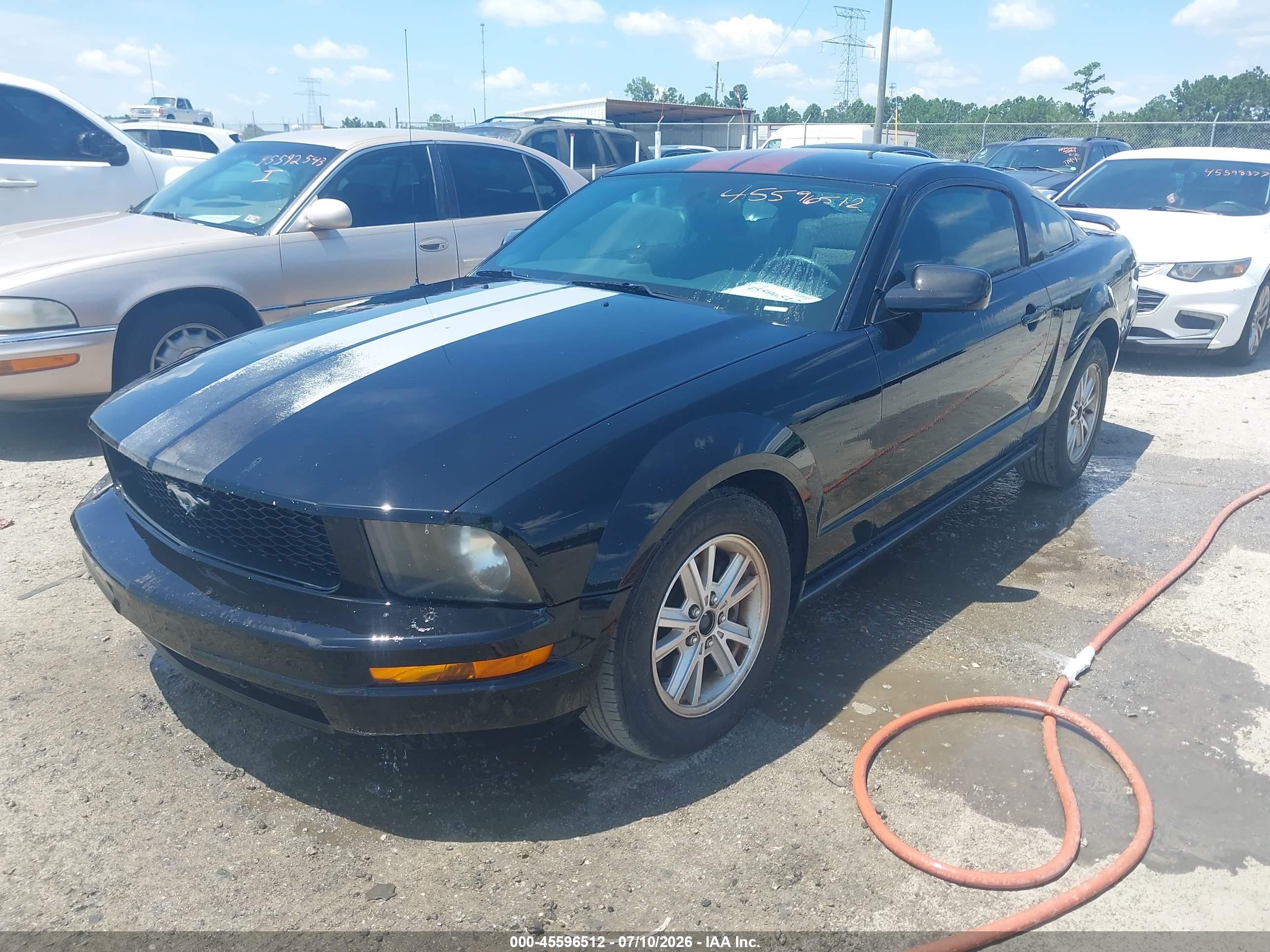 2006 Ford Mustang V6 Black vin: 1ZVFT80N565159469
