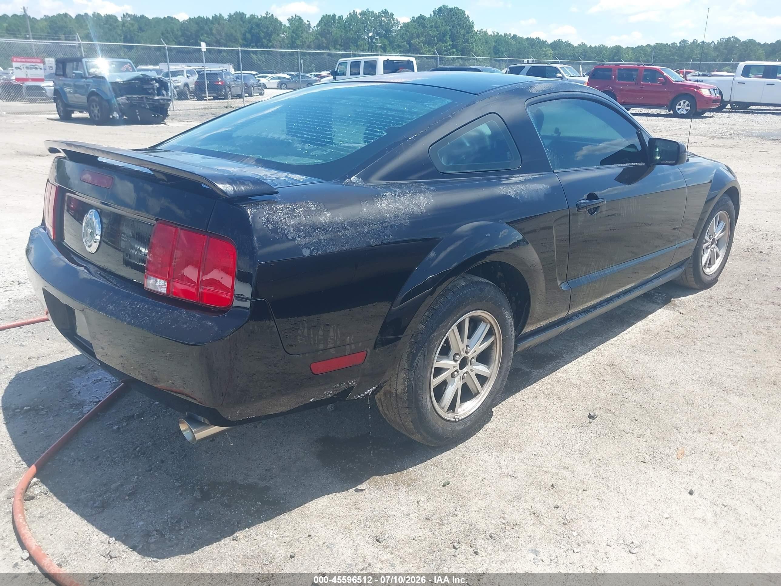 2006 Ford Mustang V6 Black vin: 1ZVFT80N565159469