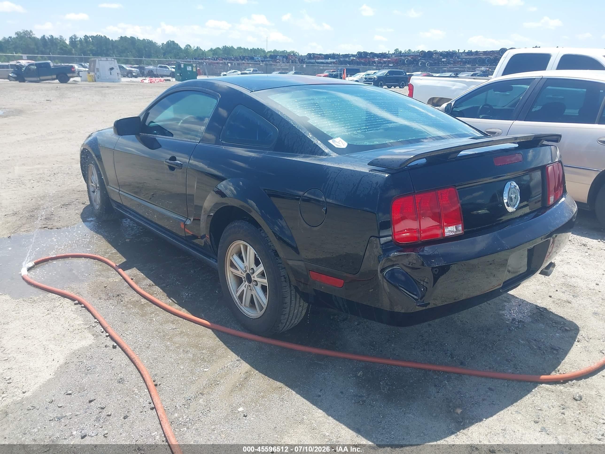 2006 Ford Mustang V6 Black vin: 1ZVFT80N565159469