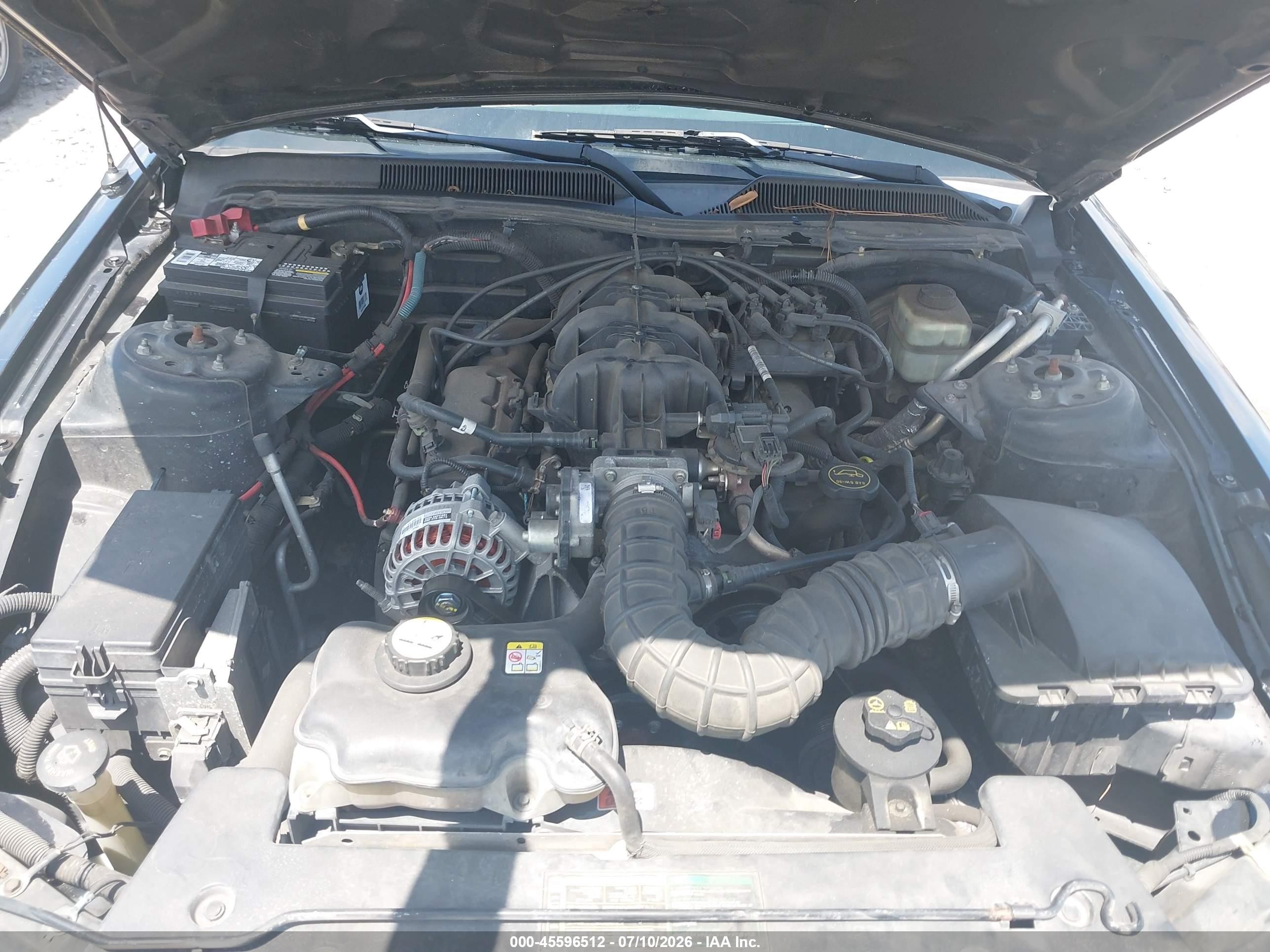 2006 Ford Mustang V6 Black vin: 1ZVFT80N565159469
