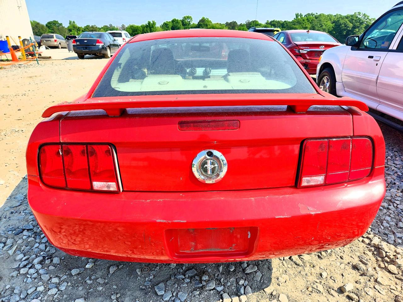 2006 Ford Mustang Red vin: 1ZVFT80N565175669