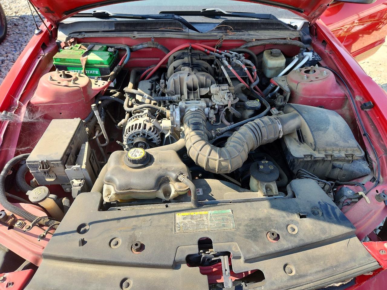2006 Ford Mustang Red vin: 1ZVFT80N565175669